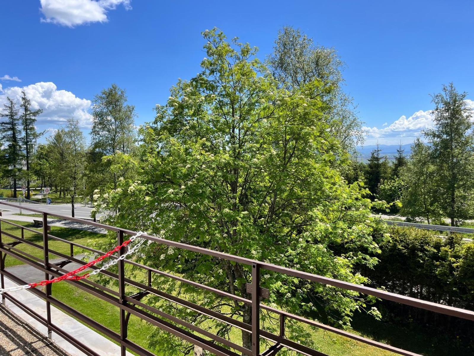 Penzion Villa Gerlach Vysoké Tatry Dış mekan fotoğraf